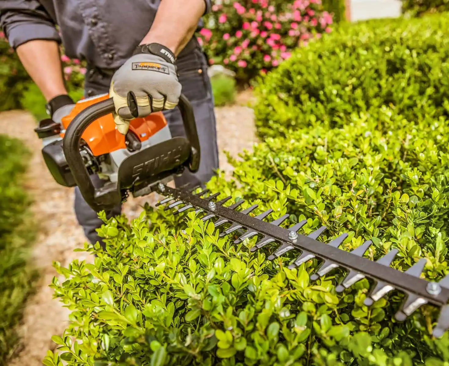 Person using a hedge trimmer to trim bushes in a garden