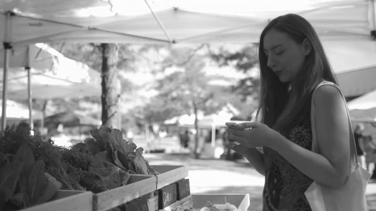 Shopify Theme Development